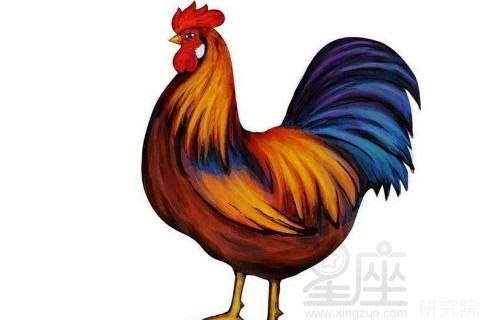 气质不同!属鸡女能够吸引哪款男人