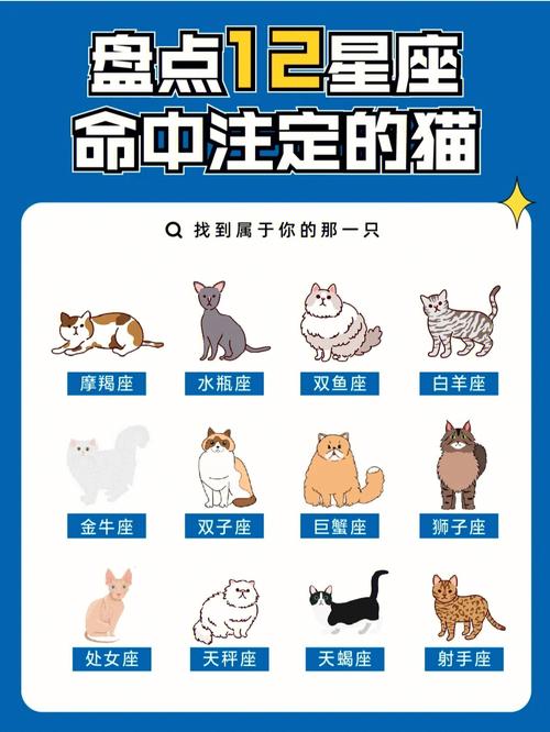 水瓶座从什么时候开始变得尔虞我诈了