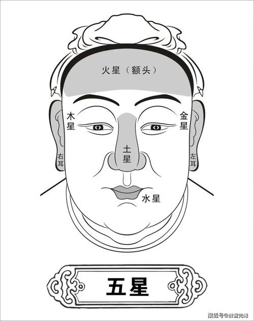 用面相术提高自己的社交能力