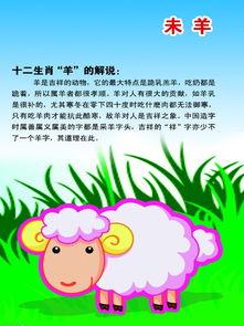 91年的羊性格好坏