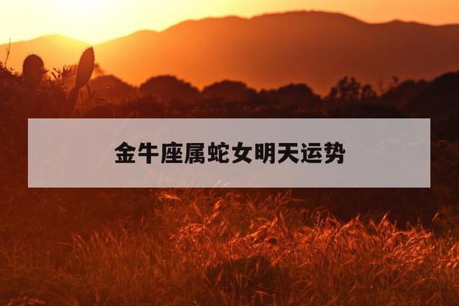 属蛇金牛座2021年爱情运势