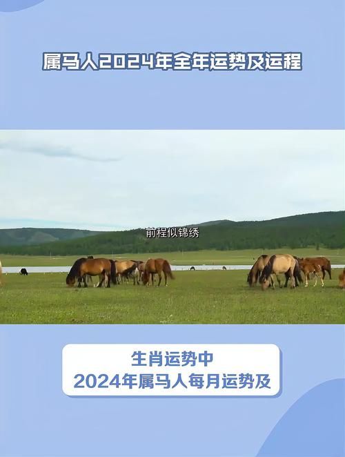 属马人2017年运势排名精准预测