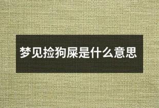 梦见捡狗屎