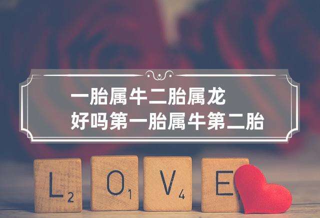 属牛对生二胎所持态度