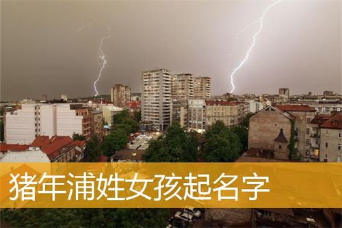 带浦的名字女孩