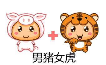 虎和猪相配婚姻如何