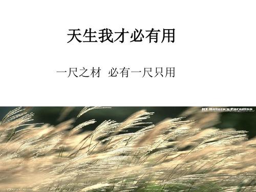 天生我才必有用:从出生月看你今生的财运与使命