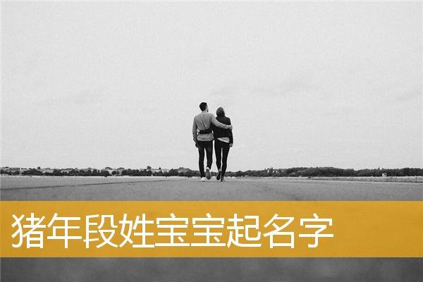 段姓猪年女宝宝名字