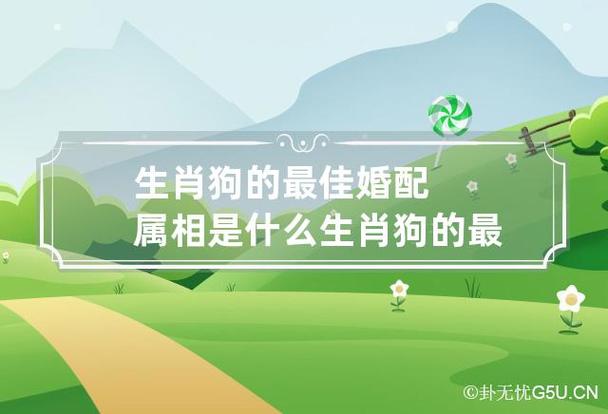 属狗的最佳配偶属相?属狗的人和什么属相合?