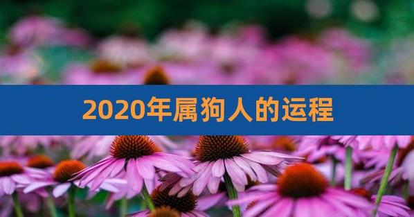 2022年属狗人的每月运势详解
