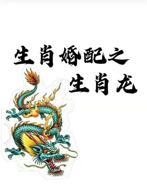 属龙的人和什么属相最配?