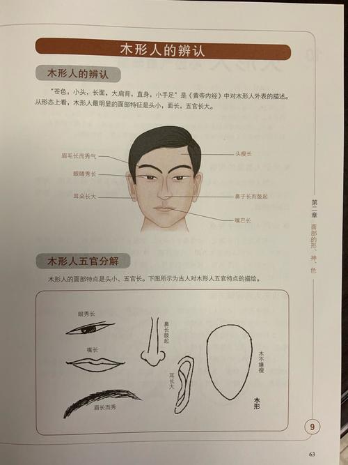 木型人特征(中医五行人之木形人特征)