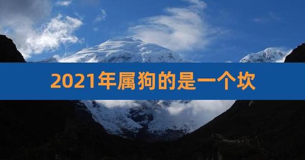2021属狗的三大坎是什么