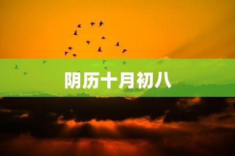 农历十月初八好不好
