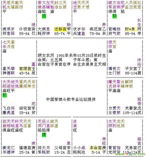 紫薇斗数排盘,紫微斗数中的天府星代表的是什么?