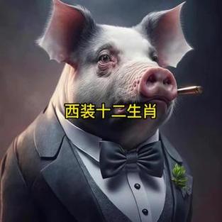 十二生肖中最值得交往的优质生肖男