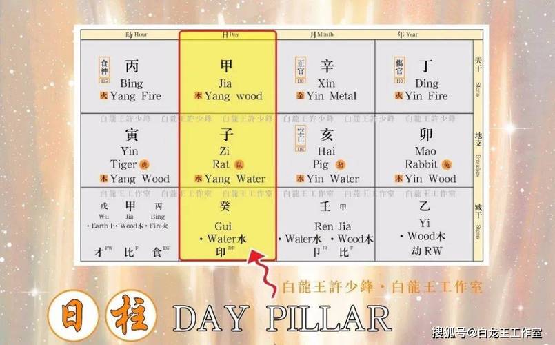 辛丑流年丙子日柱天合地合怎么看
