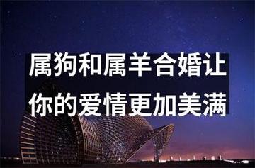 有没有属狗和属羊的婚姻幸福美满的