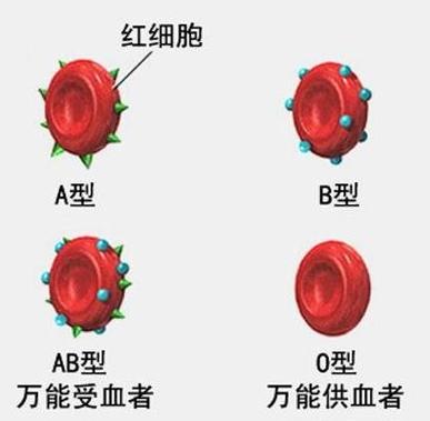 rh阴性血o型血
