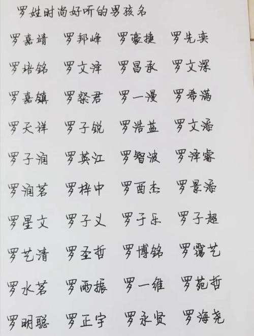 姓罗取4个字的名字