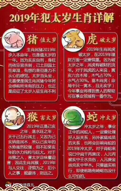 2023年属兔的不好嚰