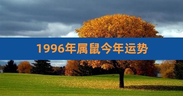 72年属鼠2021下半年运势
