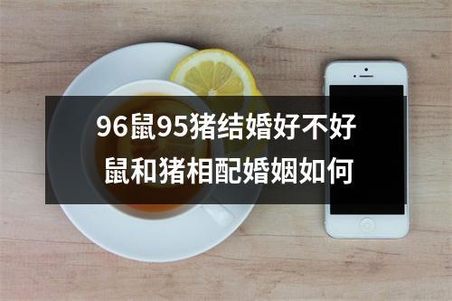 女猪男鼠在一起婚配怎么样,合适吗?