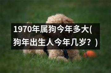 1970年属狗的终身寿命多长(图文)