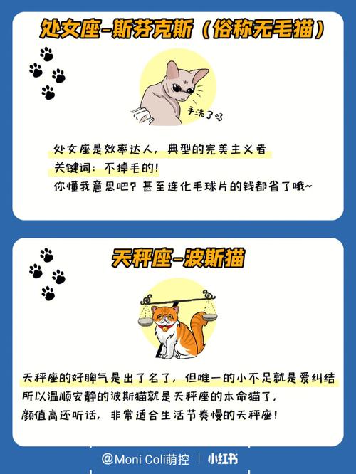 宠物眼中的12星座是什么样子的?一起来看看十二星座在宠物眼中的形象!