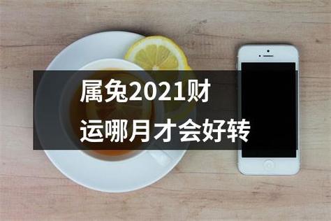 属兔2021财运哪月才会好转
