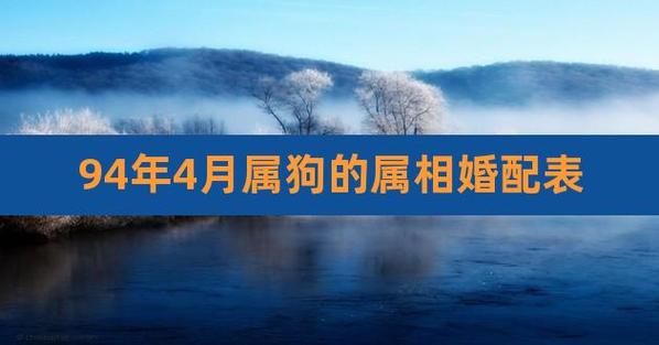 狗的生肖婚配