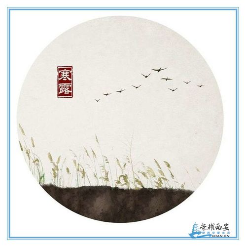 13年属蛇9岁逢九怎么化解,13年属蛇9岁逢九要注意什么宜忌