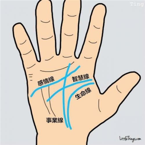 超神奇!你的命运如何,全在这四条掌纹里