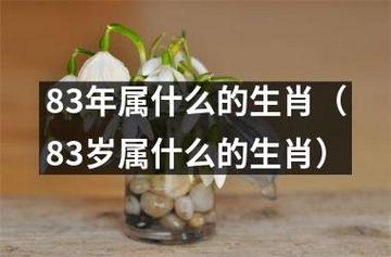 八三年性格婚姻属相