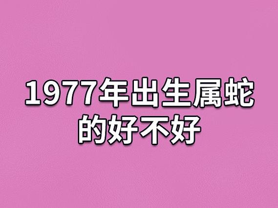 1977年属蛇何时运气好