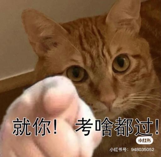 明年水逆期间好运倍增