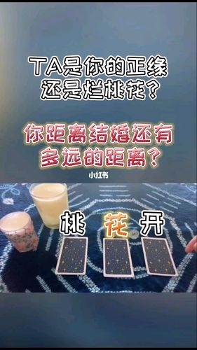 烂桃花结婚的后果