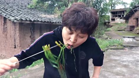 属猪的2021年12月运势