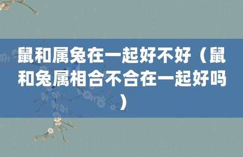 属兔和属兔一起好不好