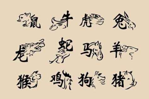 弱肉强食是什么生肖