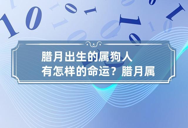 腊月出生的属狗人命理好吗?
