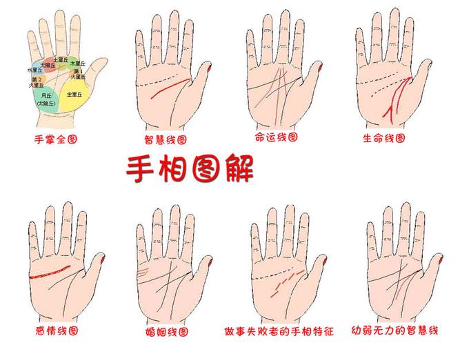 女人右手手相图解大全,有二次婚姻的女人手相