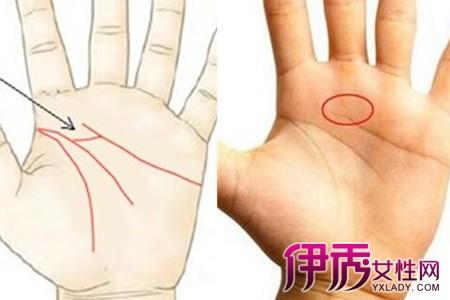 感情线分叉到智慧线是什么情况