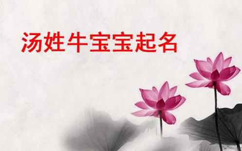 2021牛年汤姓男孩好听的名字