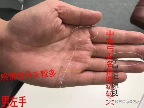 中指纹路看你的人生