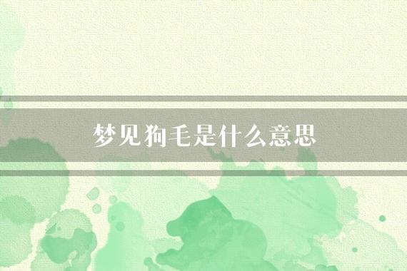 梦见狗毛是什么意思