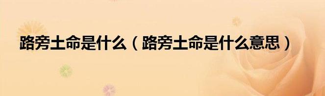路旁土命是苦命的人吗