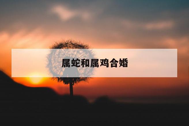 属鸡男和属蛇女的婚姻