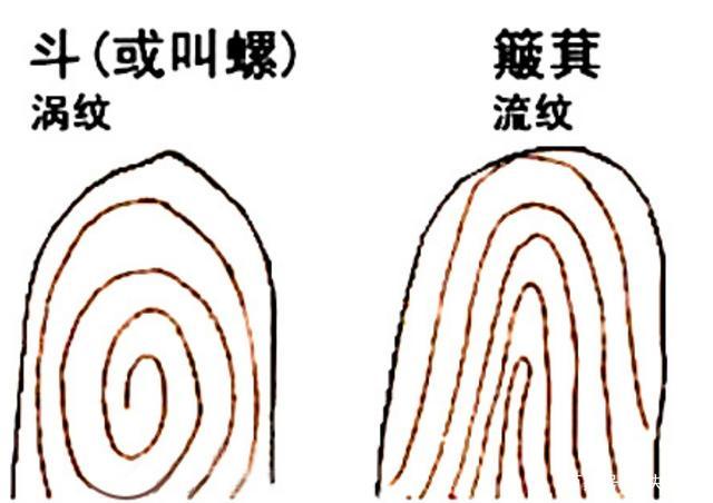 你手上有几个螺几个簸箕