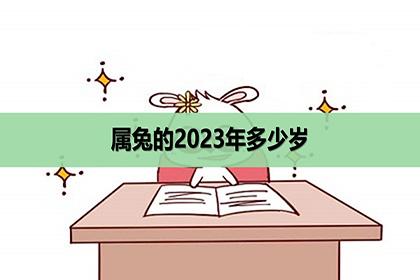 2023年出生属兔的人2023年多少岁